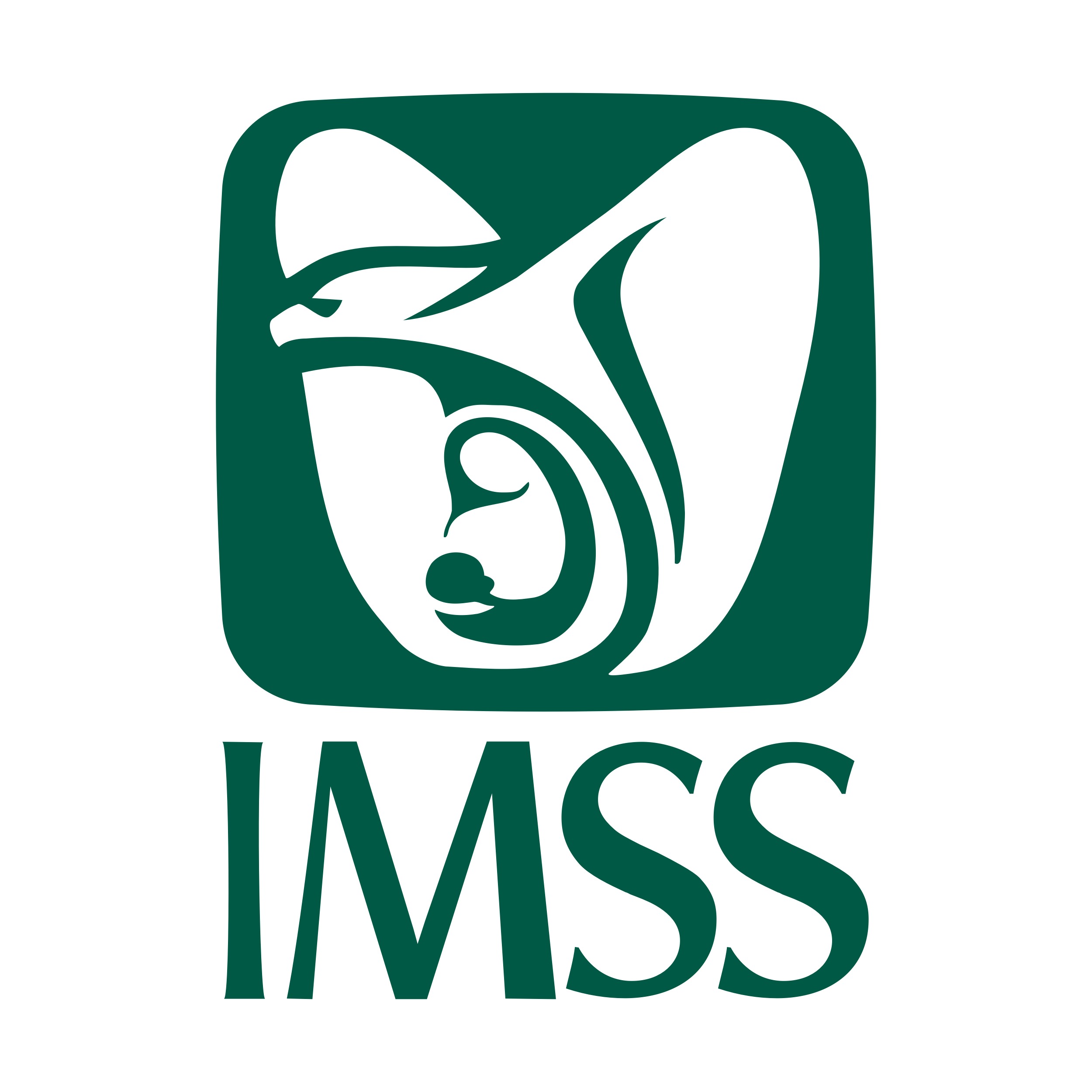 IMSS Logo